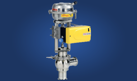 Flowserve pharmaceutical valve